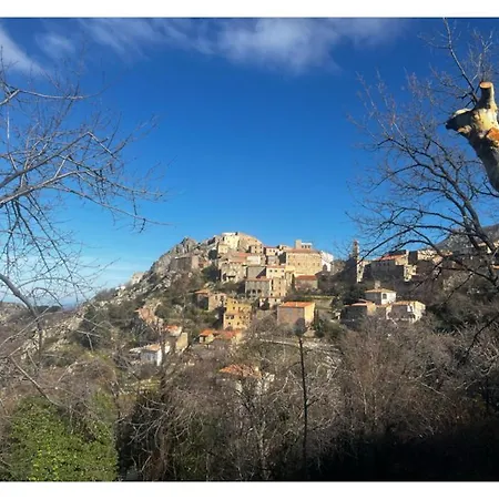 Casa Nina Furiani Corse En * Paterno