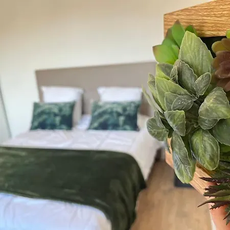 Casa Nina Furiani Corse En *