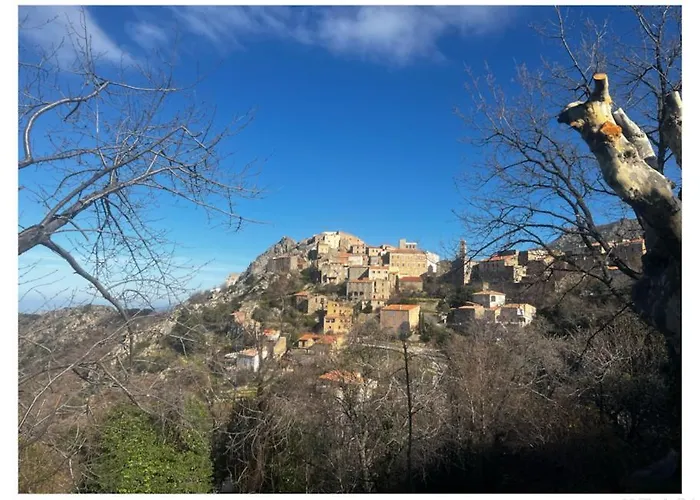 Casa Nina Furiani Corse En * Paterno
